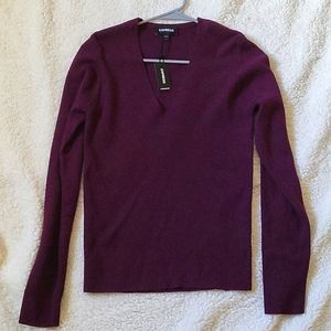Express Vneck sweater